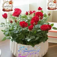 نظافت راه پله با گارانتی کتبی و پرسنل بیمه|خدمات نظافت|قم, انصار‌الحسین|دیوار