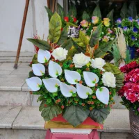 گل مصنوعی جنس خارجی