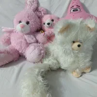 خرگوش سگ عروسک