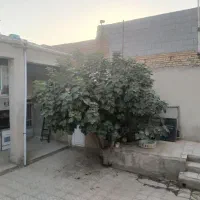 ویلایی-کلنگی-200متر