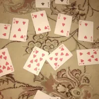 پاسور BEE نو نو|اسباب‌‌بازی|اصفهان, شفق|دیوار
