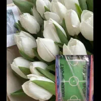گل بدون استفاده