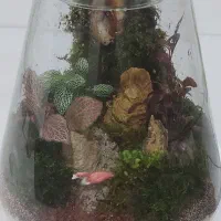 تراریوم سفارشی