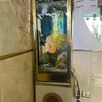 آکواریوم ایستاده با ماهی و وسایل
