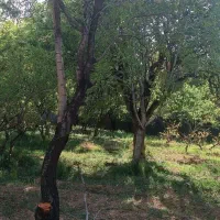 2000متر باغ با آب برق