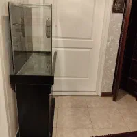 آکواریم|ماهی|تهران, کوی بیمه|دیوار