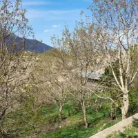 زمین متراژ دلخواه داخل بافت|فروش زمین و ملک کلنگی|گزنک, |دیوار