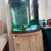 آکواریوم نیم دایره ماهیران|ماهی|شهریار, شهرک وائین|دیوار