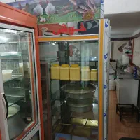 یخچال شیر ۲۰۰ لیتری یخچال فریزر ۱عدد یخچال ۳عدد|فروشگاه و مغازه|اردبیل, |دیوار