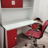 میز تحریر بدون صندلی و کمد نوجوان|میز تحریر و کامپیوتر|قم, نوقطار|دیوار