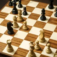 آموزش حرفه ای شطرنج