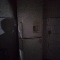 یخچال فریزرسالم