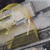 قفس پرنده با وسایل کاملا نو