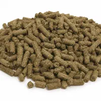 خوراک دام داشتی / گوسفند و بز