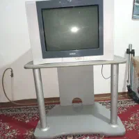 تلوزیون ۲۱اسنوا