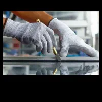 شیشه بری حسینی