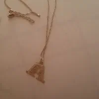 پلاک و زجیر