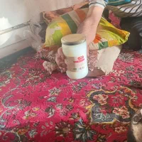 فروش دوچرخه جردن