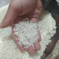 برنج درجه یک سیمان درهشهر