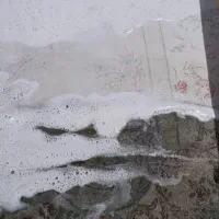 قالیشویی «پایدار»سرویس رایگان۱۰۰درصد تضمینی|خدمات نظافت|تبریز, |دیوار