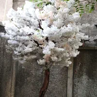 منشی کلینیک روانشناسی