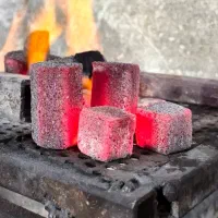 زغال نارگیل برمودا مستقیم از کارخانه