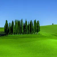 رهن ویلایی ۶۰۰ متری