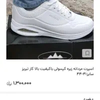 کفش اسکیچرز جنس عالی|کیف، کفش، کمربند|اصفهان, شهرستان|دیوار