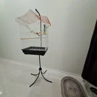قفس طرح کلبه پایه دار در حد