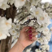 کاشت،لمینیت،کاور،ژلیش ناخن