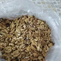 باغات لرستان|حراج|بومهن, |دیوار