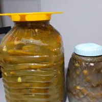 انواع ترشی خونگی کیلویی۱۵۰ ت