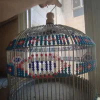 قفس گرده طرقه