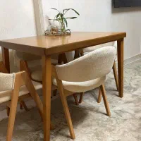 میزنهارخوری چوب راش و صندلی های تدی