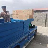 نیسان تک سوز آپشن دار