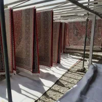 قالیشویی الماس شعبه 2