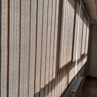 لوردراپه پرده عمودی طرح ساده تصویری زبرا