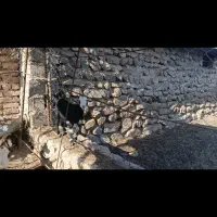 بز و کهره|حیوانات مزرعه|بافت, |دیوار