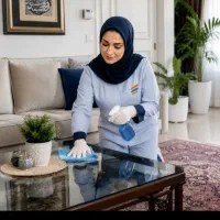 کارگر خانم برای کاردر نظافت منزل