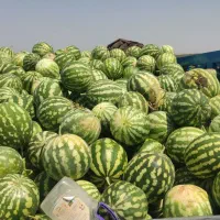 هندوانه