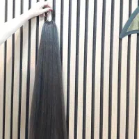 کش دم اسبی آماده‌|حراج|بروجرد, |دیوار