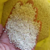 برنج عنبر بو اهواز