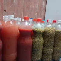 غوره شور وابغوره واقعا محشره مزش