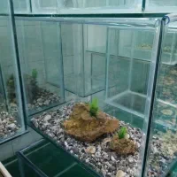 اکواریم طول 50 ارتفاع 40