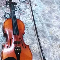 ویولن فونیکس|ویولن|لاهیجان, کوی زمانی|دیوار