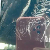 گمشده عروس هلندی مژدگانی