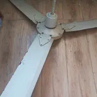 پنکه سقفی TANUS|پنکه و تصفیه‌کنندهٔ هوا|رودسر, |دیوار