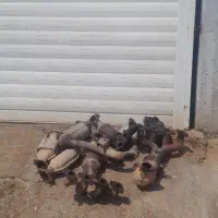 خاک و کاتالیز|قطعات یدکی و لوازم جانبی|شوشتر, |دیوار