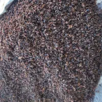 کشمش آب میوه گیری