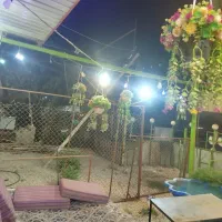 گل مصنوعی|گل مصنوعی|همدان, |دیوار